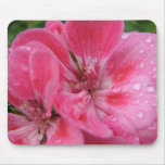 Pink Geranium Petals Mouse Pad