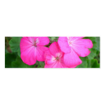 Pink Geraniums Bookmark Business Card