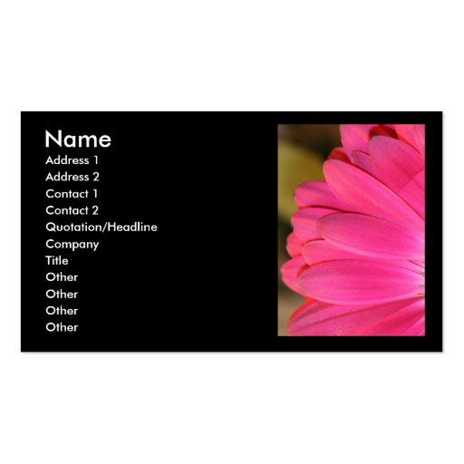 Pink Gerbena Petals on Black Business Card (front side)