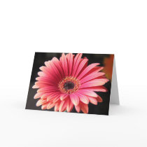 Pink Gerber cards