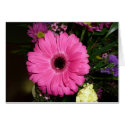 Pink Gerber cards