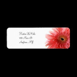 Pink Gerber Daisy Address Label labels