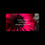 Pink Gerber Daisy Address Label labels