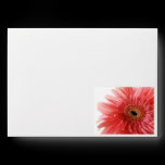 Pink Gerber Daisy Envelope envelopes
