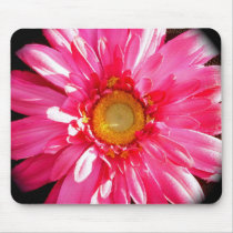 Pink Gerber Daisy Mousepad