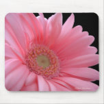 Pink Gerber Daisy Mousepad