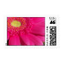 Pink Gerber Daisy Stamps