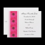Pink Gerber Daisy Save the Date Wedding Invitation
