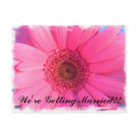 Pink Gerber Daisy Wedding Invitation Post Card