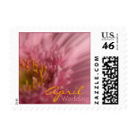 Pink Gerbera • April Wedding Stamp