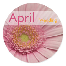 Pink Gerbera • April Wedding Sticker