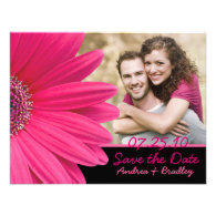 Pink Gerbera Black Photo Save the Date Card Invite