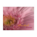 Pink Gerbera • Bridal Shower Invitation Postcard