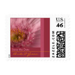 Pink Gerbera Bride & Groom Stamp
