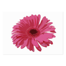 Pink Gerbera CO ACEO Business Card Template