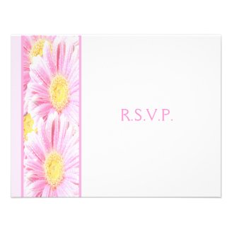 Pink Gerbera Daisies on White Reply Card