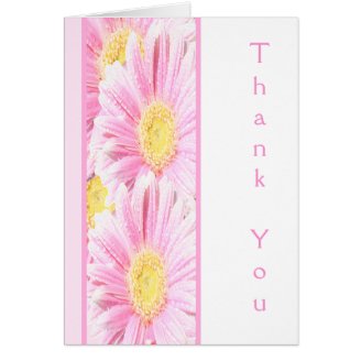Pink Gerbera Daisies on White Thank You Note Card