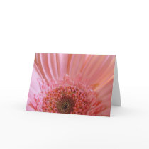 Pink Gerbera Daisy #731 cards