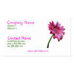 Pink Gerbera Daisy Business Card