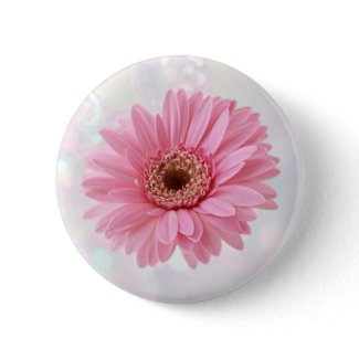 Pink Gerbera daisy Button button