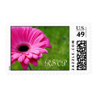 Pink Gerbera Daisy Flower Wedding RSVP Postage Stamp