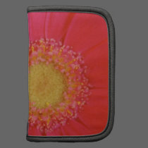 Pink Gerbera Daisy Folio planners