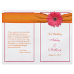 gerbera, wedding, program, programs, special