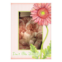 Pink Gerbera Daisy Photo Birth Announcement