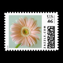 Pink Gerbera Daisy Postage Stamps stamps