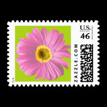 Pink Gerbera Daisy Postage Stamps