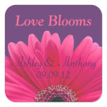 Pink Gerbera Daisy Purple Wedding Stickers