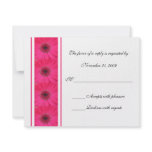 Pink Gerbera Daisy RSVP Wedding Invitation