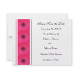 Pink Gerbera Daisy Save the Date Invitation