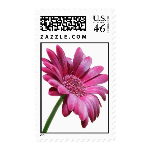 Pink Gerbera Daisy Stamp