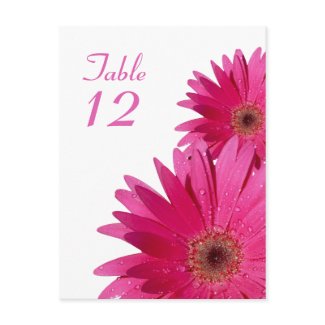 Pink Gerbera Daisy Table Number Card postcard