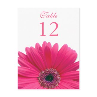 Pink Gerbera Daisy Table Number Card postcard