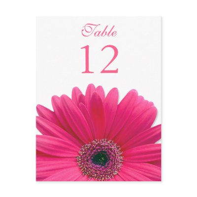 Pink Gerbera Daisy Table Number Card Postcards