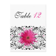 Pink Gerbera Daisy Table Number Card postcard