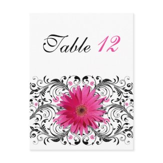 Pink Gerbera Daisy Table Number Card postcard