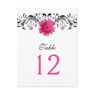Pink Gerbera Daisy Table Number Card postcard