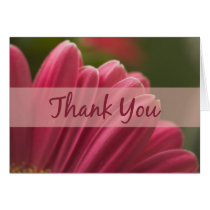 Pink Gerbera Daisy Thank You Cards cards