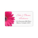Pink Gerbera Daisy Wedding Address Labels