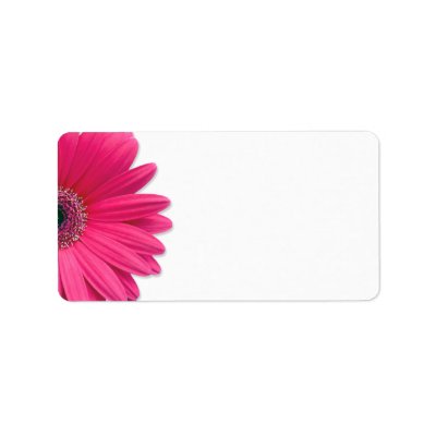 Pink Gerbera Daisy Wedding Blank Address Labels