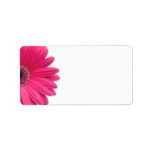 Pink Gerbera Daisy Wedding Blank Address Labels