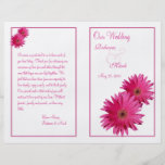 Pink Gerbera Daisy Wedding Program Flyer Design