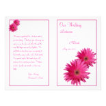 Pink Gerbera Daisy Wedding Program Flyer Design