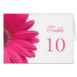 table, card, cards, table card, table cards,