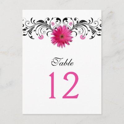 Pink Gerbera Daisy Wedding Table Number Card Post Cards