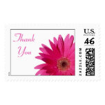 Pink Gerbera Daisy Wedding Thank You Postage postage