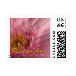 Pink Gerbera • December Wedding Stamp
